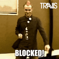 Blocking Martial Arts GIF by Travis