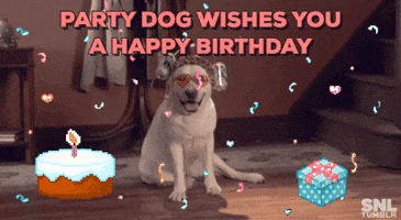 Happy Birthday Doggie GIF