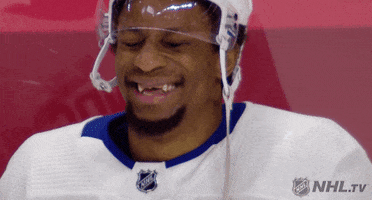 Toronto Maple Leafs Reaction GIF by NHL