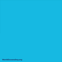 Sea Action GIF by World Ocean Day