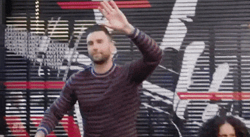 high five best friend GIF by The Voice