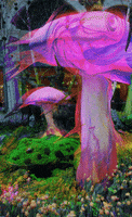 magic mushrooms GIF