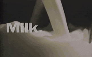 milk GIF