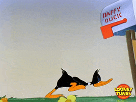 GIF by Looney Tunes