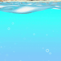 Sea Swimming GIF by Latch