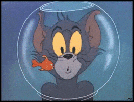 tom and jerry fishbowl GIF