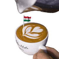 Coffee Time Hungary GIF by Dritan Alsela Coffee