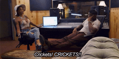 Love And Hip Hop Crickets GIF by VH1