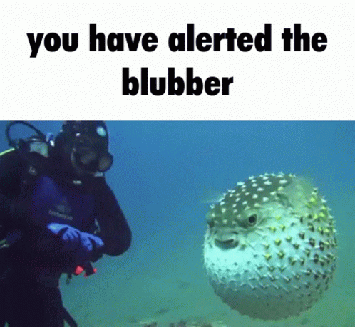 puffer-fish-silly.gif