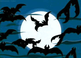 Halloween Bats GIF