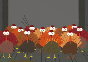 Turkey Group GIF by South Park