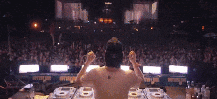Nature One Crowd GIF by Robin Schulz