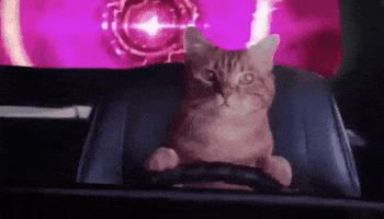 product hunt time travel GIF by Product Hunt