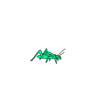 Silence Crickets GIF by GIPHY Studios Originals