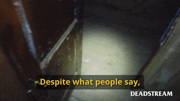 Haunted House Bar GIF by Deadstream