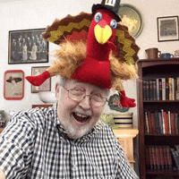 Thanksgiving Turkey GIF