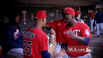 Minnesota Twins Handshake GIF by MLB