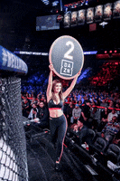 Round 2 Mma GIF by FIGHTMAG