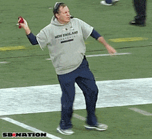 jimmy carter belichick reacts GIF