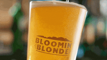 welcome back beer GIF by Outback Steakhouse