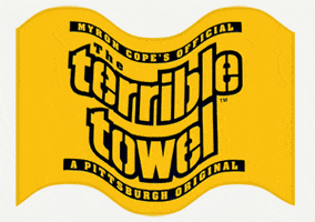 Pittsburgh Steelers GIF