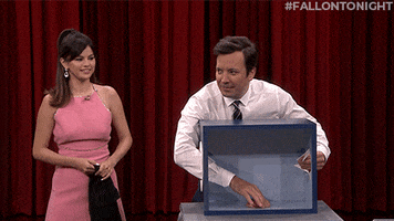 Guessing Jimmy Fallon GIF by The Tonight Show Starring Jimmy Fallon
