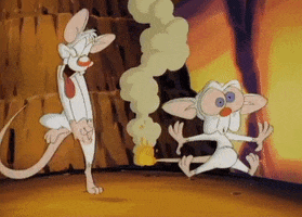 mad pinky and the brain GIF