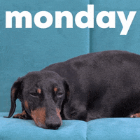 Monday Morning GIF by GIPHY Studios Originals