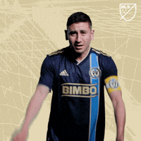 Cant Hear You Come On GIF by Major League Soccer