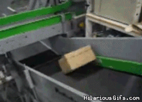 footage shipping GIF