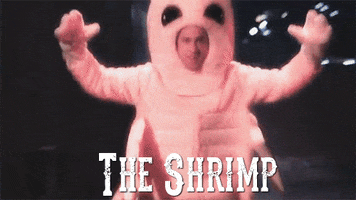shrimp GIF