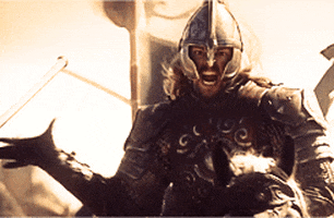 the lord of the rings men GIF