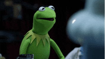 the muppets kermit GIF by Disney