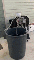 Halloween Skeleton GIF by Storyful