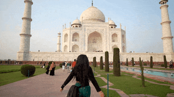Taj Mahal India GIF by Kiani Alexandra