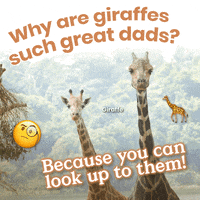 Fathers Day Giraffe GIF by Mandai Wildlife Reserve