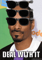 snoop dog deal with it GIF