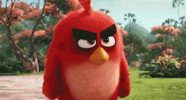 Mad Angry Bird GIF by swerk