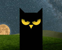 black owl night GIF by GUARANA