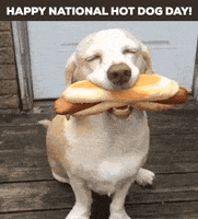 National Hot Dog Day GIF by GIFiday