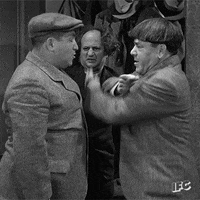 Three Stooges Stooge GIF by IFC
