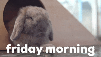 Its Friday GIF by GIPHY Studios Originals