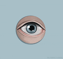 peeping tom voyeur GIF by taxipictures