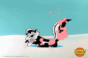 Pepe Le Pew Love GIF by Looney Tunes
