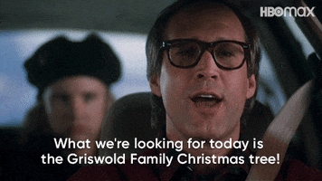 National Lampoons Christmas Vacation GIF by HBO Max