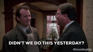 GIF by Groundhog Day