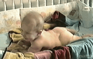 Baby Fart GIF
