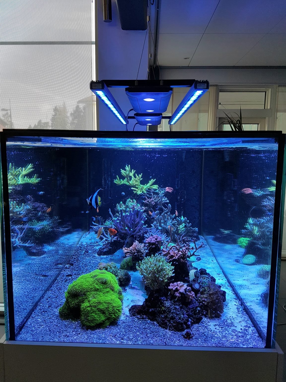 Bar-LED-aquarium-light-Orphek-OR-120-1152x1536.jpg
