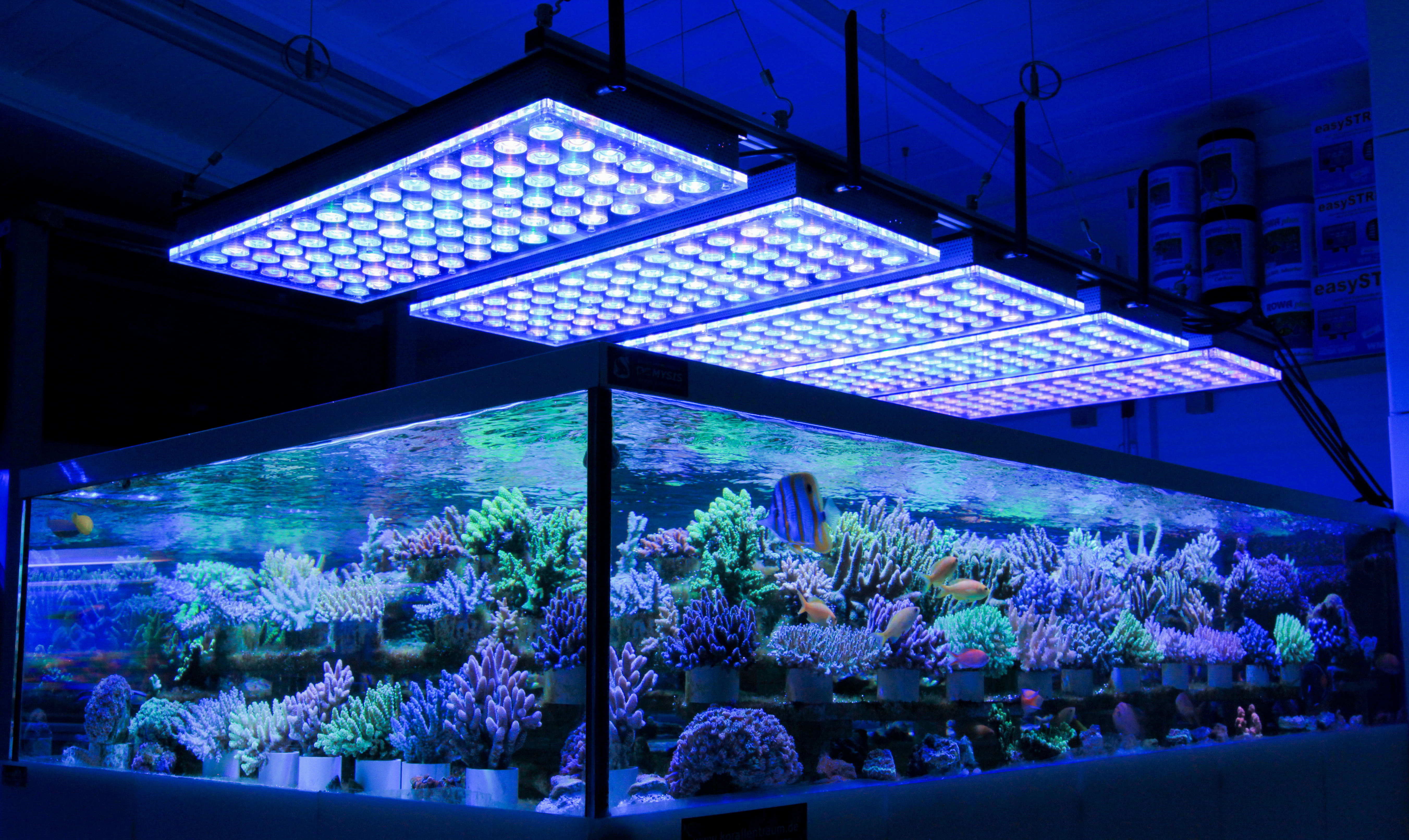 LED-Aquarium-Reef-Light-1.jpg