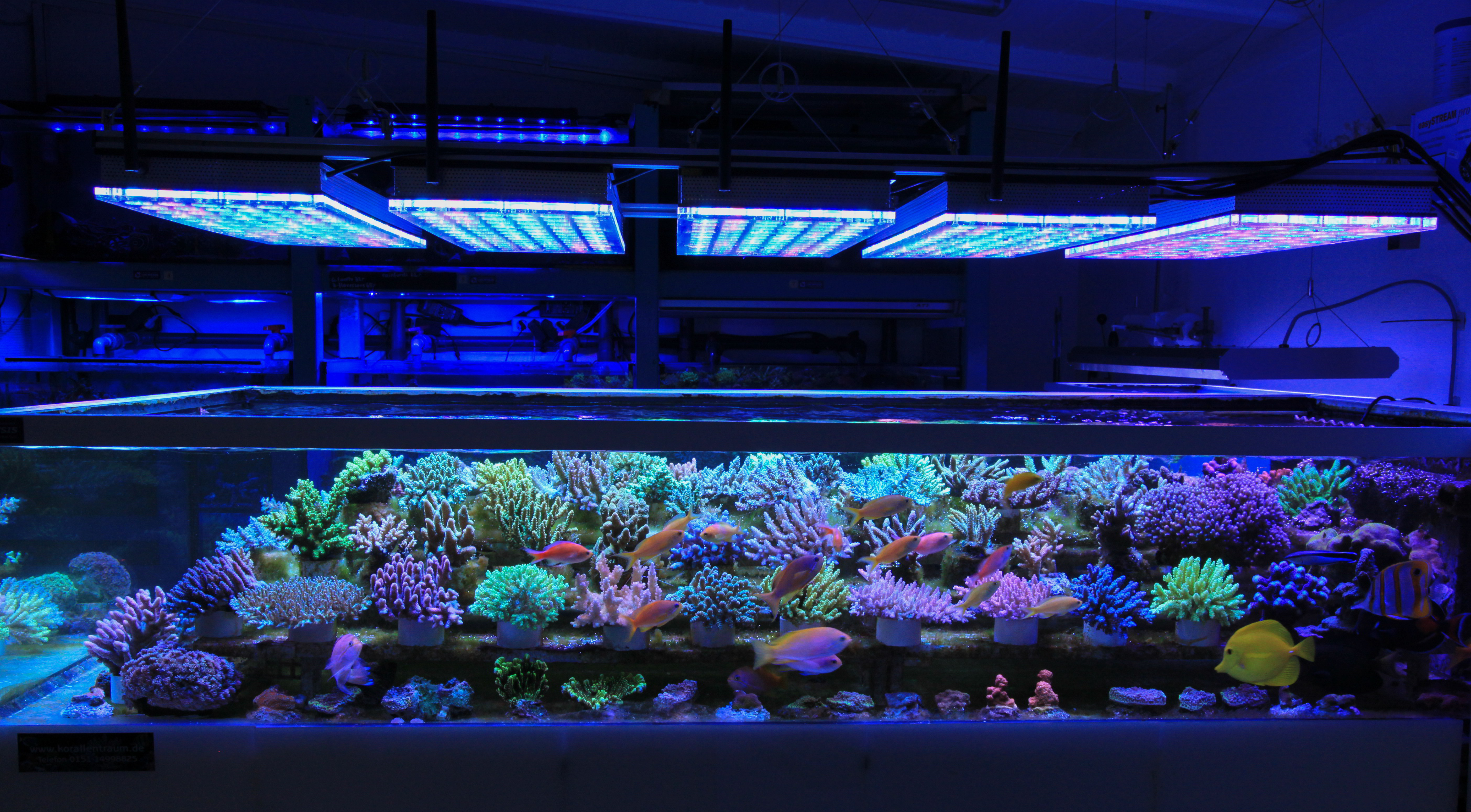 coral-farm-LED-light-1.jpg
